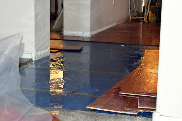 Professional Water Damage Restoration technician working in Pierce, CO